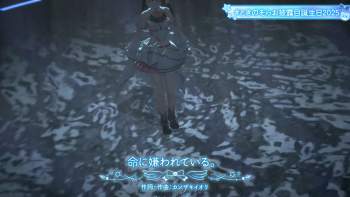 2036638 B