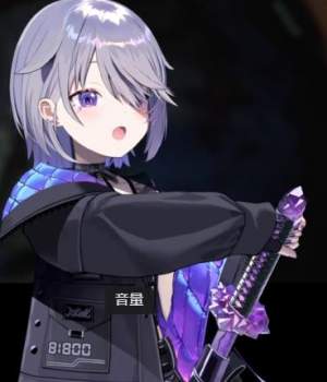 25856 B