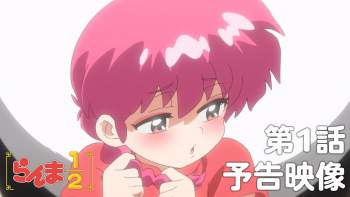 85043 B