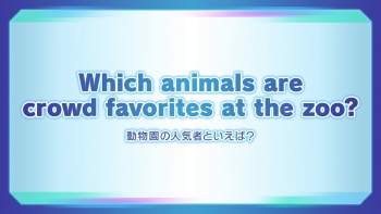 887972 B