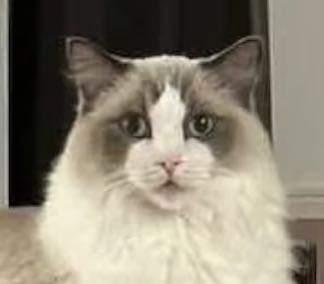 9563 B