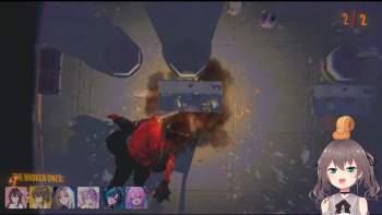 204981 B