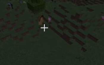 133966 B