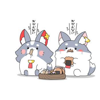 25597 B