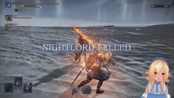 295895 B