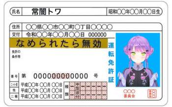 169304 B
