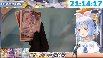 2382494 B