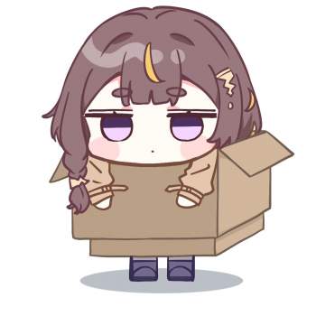 80681 B