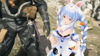 230335 B
