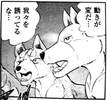 253681 B