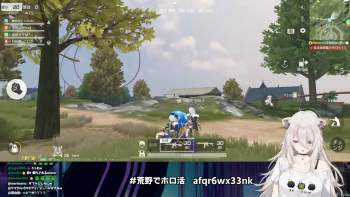 2595657 B