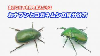 93869 B