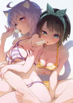 504713 B