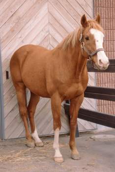 189742 B