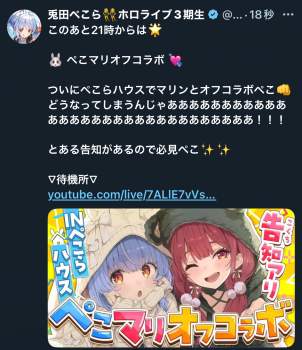 1161637 B