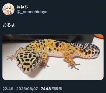 671667 B