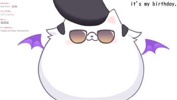 44797 B