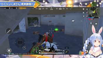 2296466 B