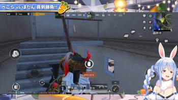 2364913 B