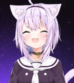 85391 B