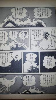 223476 B
