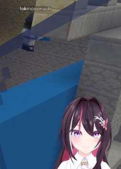 236513 B