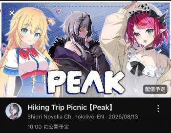 107133 B