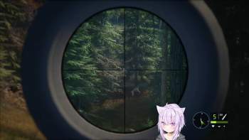 247070 B