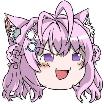 224411 B
