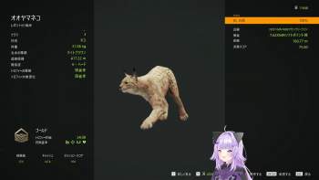 138203 B
