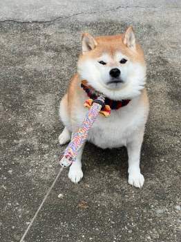 108685 B
