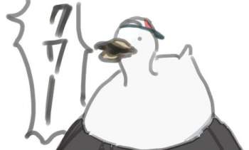 73446 B
