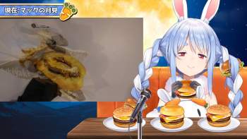2417428 B