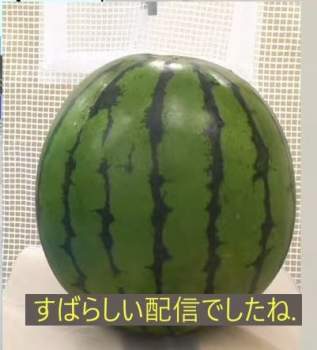 53485 B