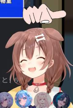 253023 B