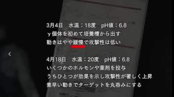 1074868 B