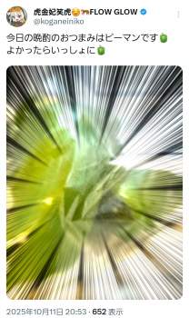 1066188 B