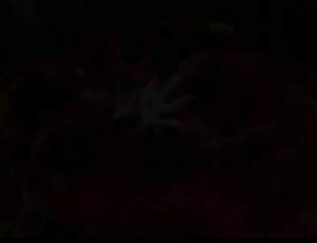 3422756 B