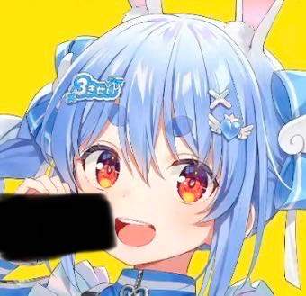24291 B