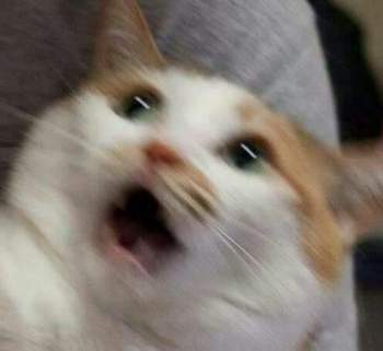 26927 B