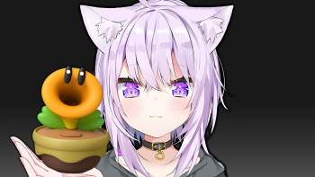 145681 B