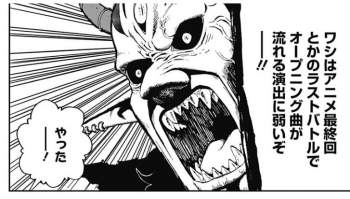 76255 B