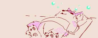 20834 B