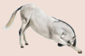 163913 B