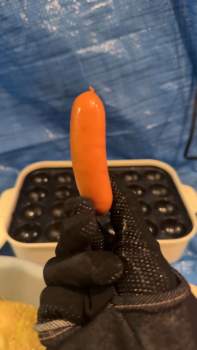 2117139 B