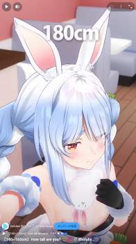 762604 B