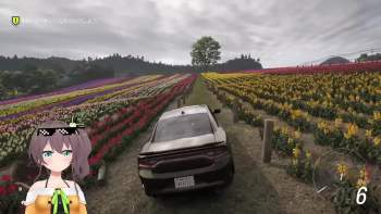 8033394 B