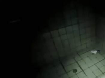 2055004 B