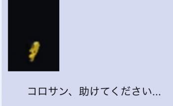 47365 B