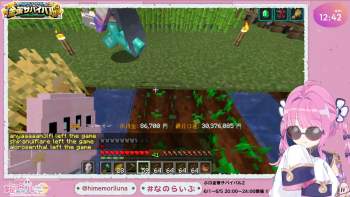 2993437 B